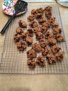 5 Spice Cherry Oatmeal Cookies (38)
