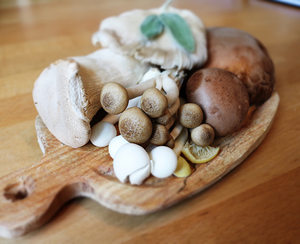 10 Reasons to Love Mushrooms