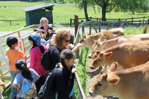 Meeting the animals with Kathy