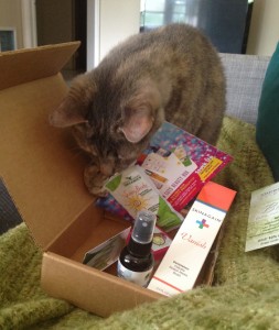 Clemmie Beauty Box