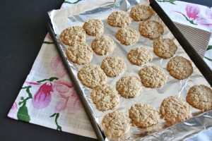 Ardenne Farm  Sugar & Oatmeal Cookie Mixes