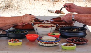 Tacos Guisados