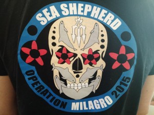 Sea Shepherd Milagro