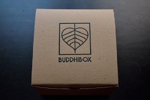 BuddhiBox Review