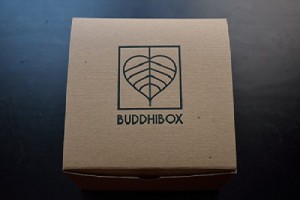 BuddhiBox Review