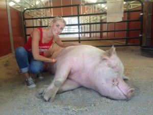 Creating the Loveland Farm Sanctuary