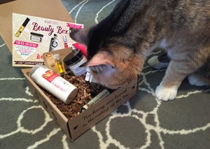 Talluah and the Beauty Box