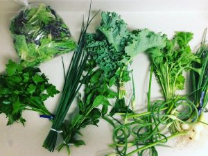 CSA Share Greens