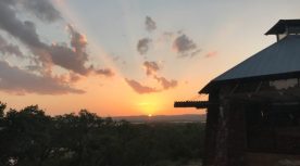 Canyon of the Eagles Resort: A Highland Lakes, Texas Solution for Vegans