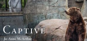 Captive by Jo-Anne McArthur