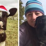 Love Yourself and Help Animals During the Holidays