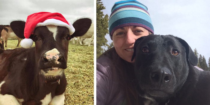 Love Yourself and Help Animals During the Holidays