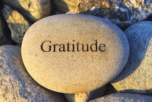 How to Develop an Attitude of Gratitude - Chic Vegan