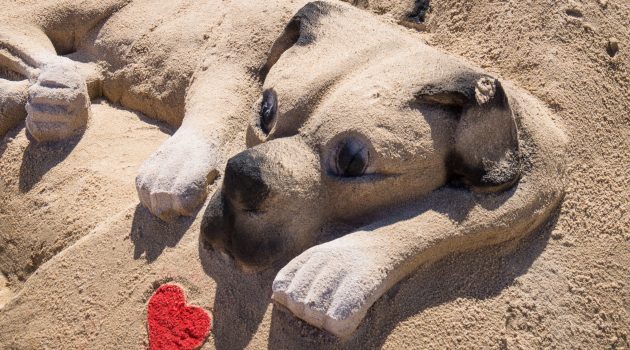 Judgment Day Does No Favors to Animals