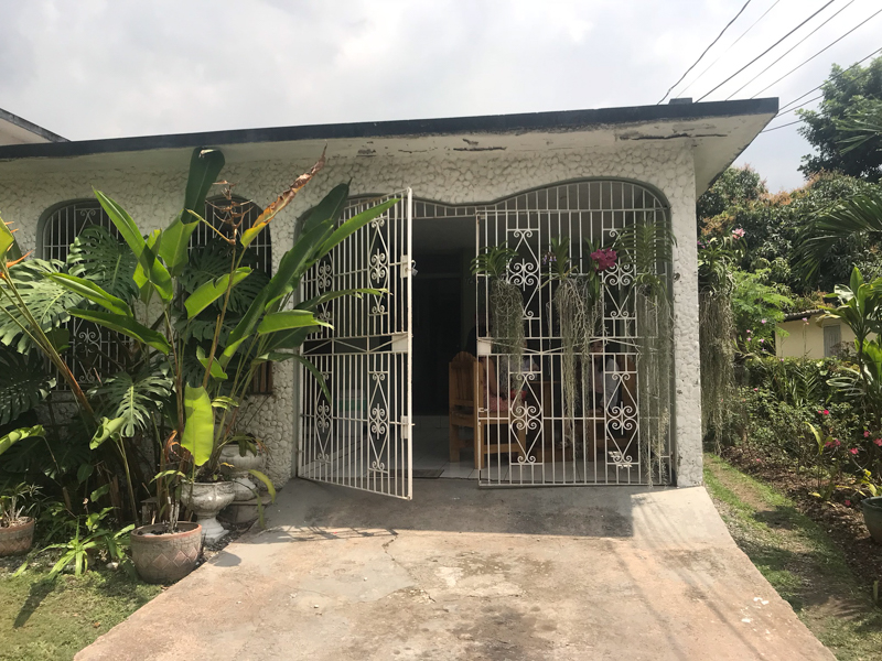 Tehuti's vegan Kingston Jamaica