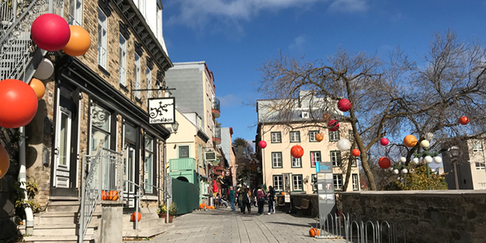 Eating Vegan in Quebec City