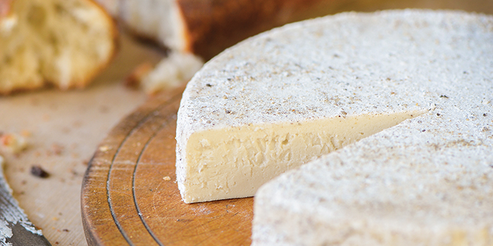 Truffled Brie from One-Hour Dairy-Free Cheese