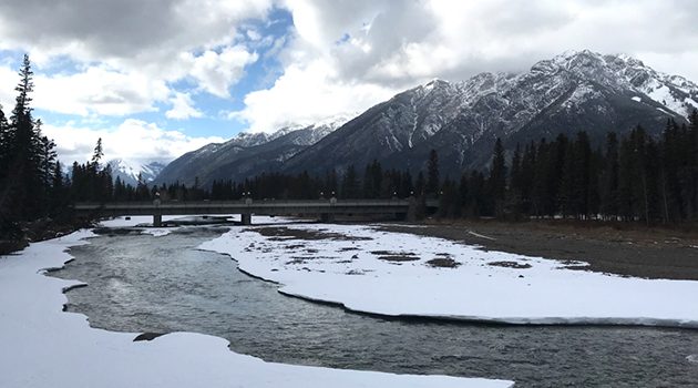 5 Top Spots for Vegans in Banff National Park