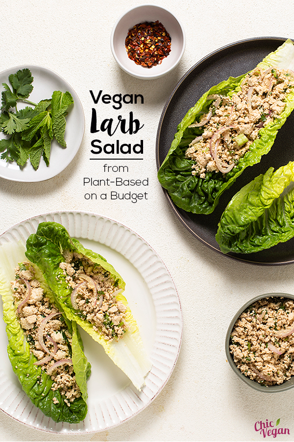 Larb salad is giving a healthy vegan make-over in this super easy recipe from Plant-Based on a Budget by Toni Okamoto.