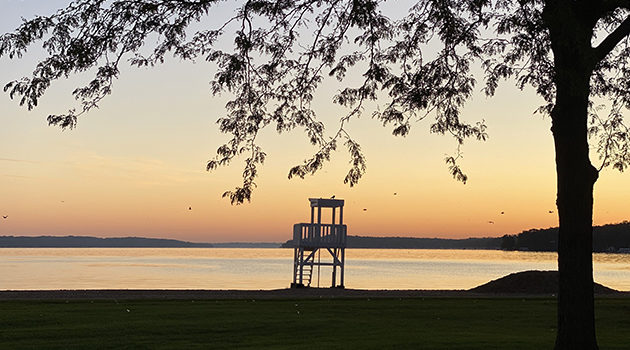 5 Places Vegans Should Visit in Lake Geneva, Wisconsin